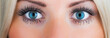 schau mir in die augen