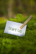Start Up