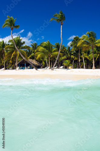 Photo: tropical beach tropical beach