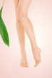 female legs with green leaf