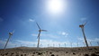 Plantation of wind generators