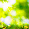spring background
