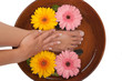 canvas print picture Pedicure
