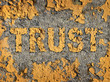 Losing Trust
