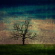 grunge data tree