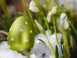 canvas print picture - Easter egg meadow snowdrop