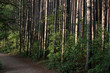 Foto: Woods Trail Woods Trail
