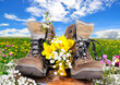 Wanderschuhe Frühling Wiese Blumen