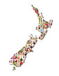 Portraits of a lot of people - map of new zealand