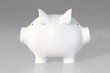 Piggy bank - two faces