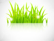 Green grass