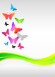 Schmetterlinge - Background - 5