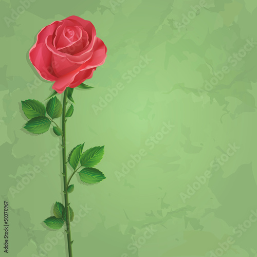 Vector: Vintage floral green background with flower rose Vintage floral green background with flower rose