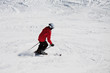 sciatore sulle piste