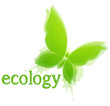 Concept Ecology. Butterfly