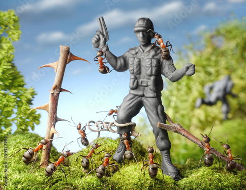 Photo: ants capture terrorist - toy soldier, ant tales ants capture terrorist - toy soldier, ant tales