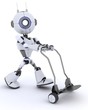 Robot with a Delivery Trolly