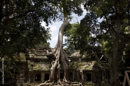 Photo: Ta Prohm Ta Prohm