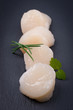 Foto: Coquille saint-jacques Coquille saint-jacques