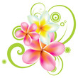 vector illustration of tropical flowers