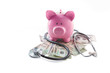 Foto: Piggy bank and stethoscope resting on pile of dollars Piggy bank and stethoscope resting on pile of dollars