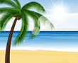 Summer background