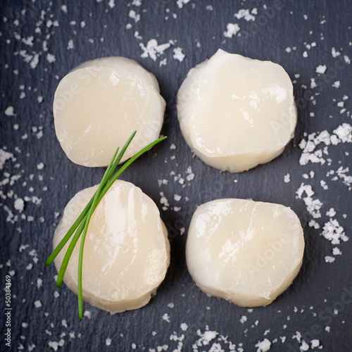 Photo: Coquille saint-jacques Coquille saint-jacques