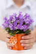 Fuzzy and warm spring concept