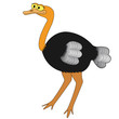 Ostrich Cartoon Vector Illustration