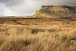 Grassy moors leading to Pen-y-Ghent in Yorkshire Dales National