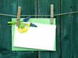 Foto: frühlingskarte frühlingskarte