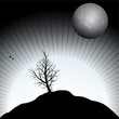 Alone tree at night