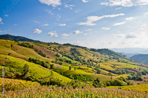 Photo: Rice field terraced. Rice field terraced.