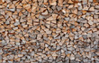 Brennholz