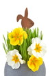 Easter bunny and primula