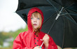 regenwetter