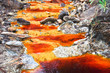Photo: Nacedero del río Tinto, Andalucía (España) Nacedero del río Tinto, Andalucía (España)