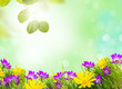 frühling /sommer