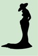 silhouette of a beautiful form woman