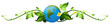A vine plant border with the earth