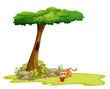 A Cat Playing Under The Tree