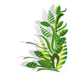 abstract composition from green plants