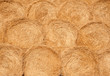 Harvest texture: stacks of wheat