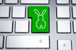 Osterhase