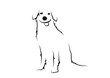 hund
