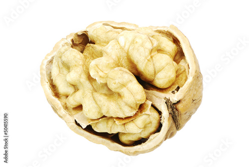 Photo: Walnut Walnut