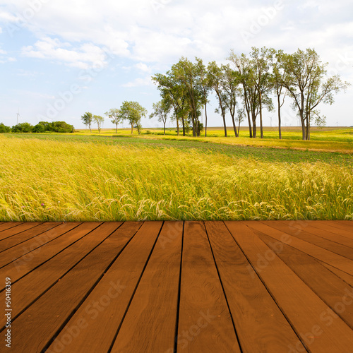 Photo: Old Table Surface With Blurred Countryside Landscape Old Table Surface With Blurred Countryside Landscape