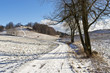 During the winter