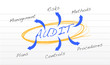 audit diagram