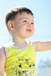 a little boy playing on the sea-shore in summer